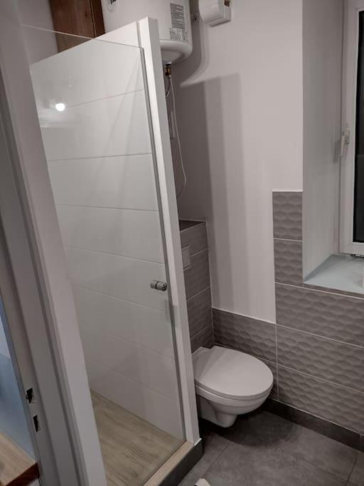 Sudety Hut 3 Apartment Podgorzyn Bagian luar foto